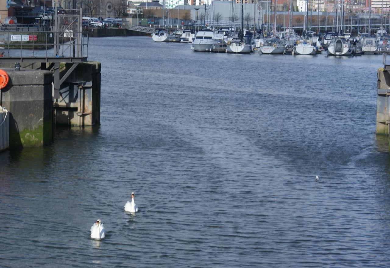 Coastal City Rooms - Waterfront Swansea Exteriör bild